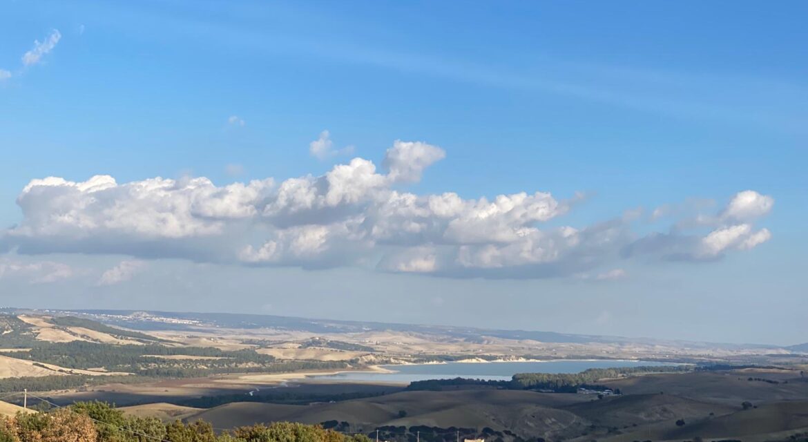 frantoio D'Aria Grottole Matera degustazione olio terrotorio consorzio Eufolia